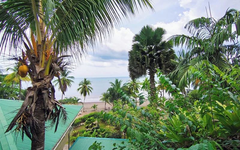 Simple room in Drake Bay Costa Rica near the boats for corcovado national park tours